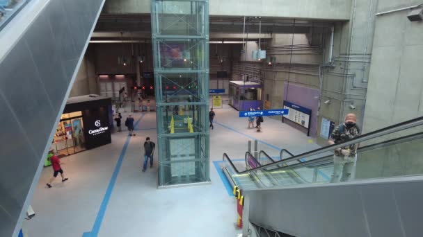 Sao Paulo Brazil January 2021 Passenger Movement Entrance Eucaliptos Station — 图库视频影像