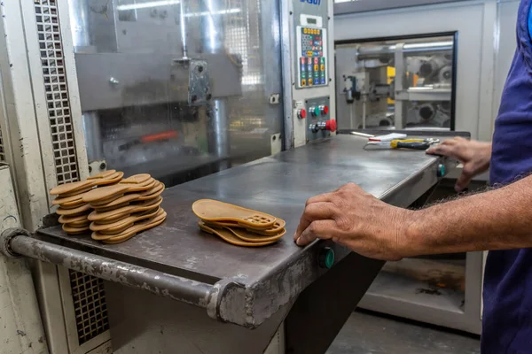 Birigui Sao Paulo Brésil Avril 2015 Ligne Production Chaussures Pour — Photo