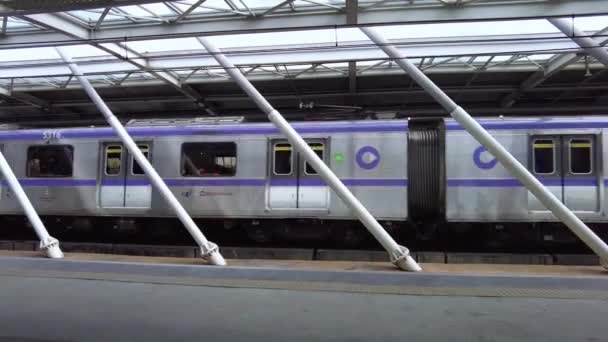 San Paolo Brasile Gennaio 2021 Movimentazione Treni Passeggeri Sul Binario — Video Stock