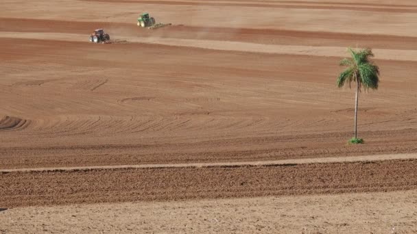 Marilia Sao Paulo Brazílie Října 2019 Farmář Orá Svým Traktorem — Stock video