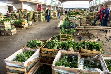 Sao Paulo, Brezilya, Eylül 02, 2014. Sao Paulo 'nun batısındaki Vila Leopoldina mahallesindeki CEAGESP' de (Sao Paulo Genel Depo Şirketi) meyve ticareti için sebze kutularında yeşil bırakır.