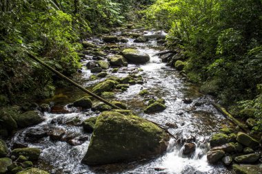 Brezilya 'da kayaların arasından akan su