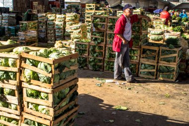 Sao Paulo, Brezilya, Eylül 02, 2014. Sao Paulo 'nun batısındaki Vila Leopoldina mahallesindeki CEAGESP' de (Sao Paulo Genel Depo Şirketi) meyve ticareti için sebze kutularında yeşil bırakır.