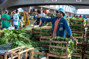 Sao Paulo, Brezilya, Eylül 02, 2014. Sao Paulo 'nun batısındaki Vila Leopoldina mahallesindeki CEAGESP' de (Sao Paulo Genel Depo Şirketi) meyve ticareti için sebze kutularında yeşil bırakır.