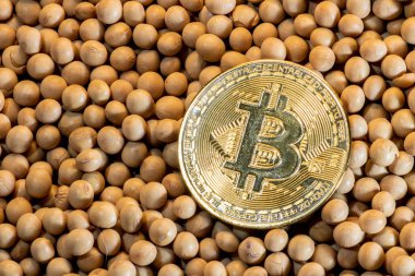 Brezilya 'da, soya tohumlu altın Bitcoin paraların yakın plan çekimi
