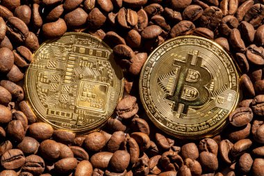 Brezilya 'da kavrulmuş kahve çekirdekleriyle arka planda altın bitcoin.