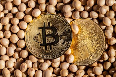 Brezilya 'da, soya tohumlu altın Bitcoin paraların yakın plan çekimi