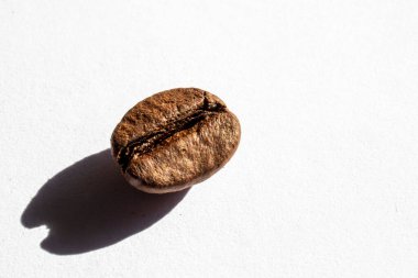 Brezilya 'da beyaz arka planda kavrulmuş kahve çekirdekleri.