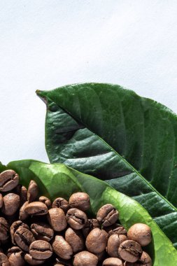 Brezilya 'nın beyaz arka planında kavrulmuş kahve çekirdekleri ve yeşil kahve yaprakları.