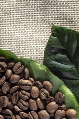 Brezilya 'da kavrulmuş kahve çekirdekleri ve yeşil kahve yaprakları.