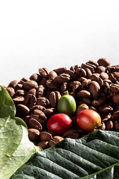 Granos Café Tostados Hojas Verdes Frutas Café Sobre Fondo Blanco — Foto de Stock