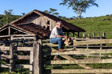 Orta yaşlı çiftçi ve sığır çiftçisi hayvanları yerleştirmek için eski bir ağılı gözlemler.