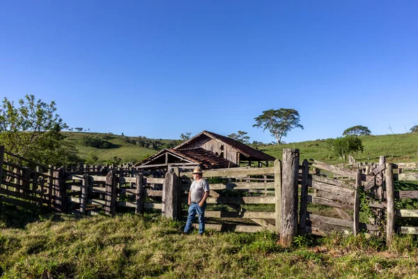 middle-aged farmer and cattle rancher observes an old corral to place the animals