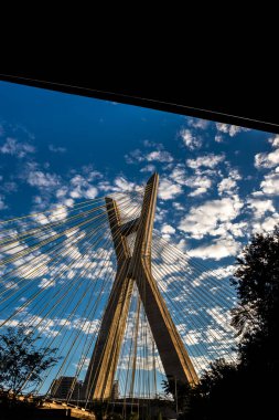 Octavio Frias de Oliveira köprüsü, Sao Paulo 'nun güneyinde Pinheiros Nehri üzerinde bulunan bir köprü..