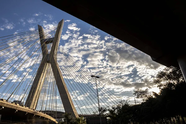 Pont Octavio Frias Oliveira Est Pont Haubans Situé Côté Sud — Photo