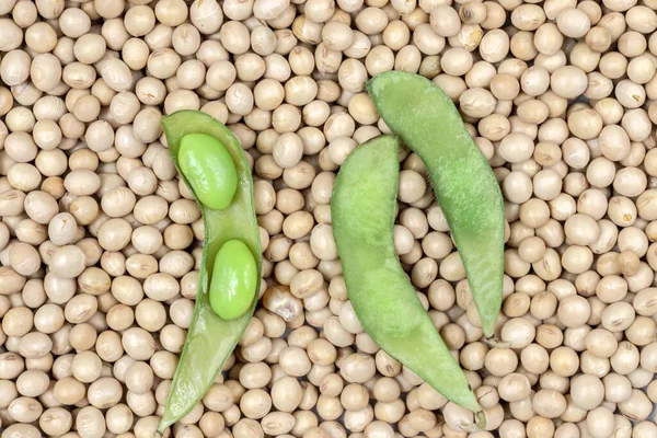 Haricots Edamame Soja Vert Sur Graines Sèches Soja Brésil — Photo