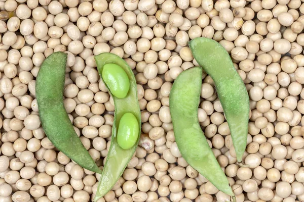 Edamame Beans Green Soybeans Dry Seeds Soybean Brazil — Stock Photo, Image