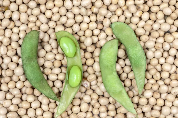 Haricots Edamame Soja Vert Sur Graines Sèches Soja Brésil — Photo