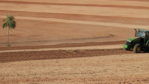 Marilia Sao Paulo Brasil Octubre 2019 Agricultor Arada Con Tractor — Vídeos de Stock