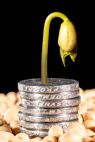 Planta Soja Semillas Secas Monedas Brasileñas Dinero Real Fondo Negro — Foto de Stock