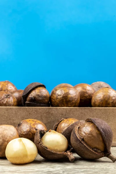 Nahaufnahme Einer Macadamia Nuss Mit Selektivem Fokus Auf Den Holztisch — Stockfoto