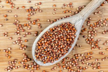 Tahta arka planda kırmızı sorghum (Sorghum bicolor) tohumları. Fotoğraf bir stüdyoda çekildi.