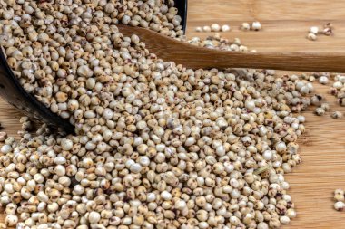 Tahta arka planda beyaz sorghum (Sorghum bicolor) tohumları. Fotoğraf bir stüdyoda çekildi.