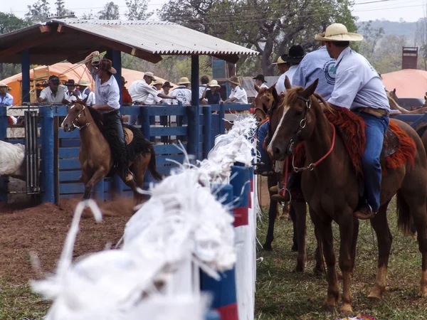 Campo Grande Mato Grosso Sul September 2006 Cowboys Auf Quarter — Stockfoto