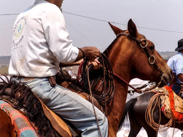 Campo Grande Mato Grosso Sul September 2006 Cowboys Mounted Quarter — Stock Photo, Image