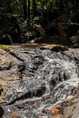 Küçük, dingin bir şelale, Brezilya 'da hareketli saf, saf güzelliği yakalayan, sürekli, nazik bir akış içinde parıldayan kayalar üzerinde çağlar..