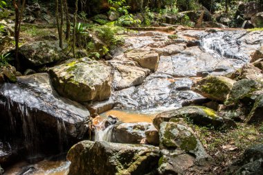Küçük, dingin bir şelale, Brezilya 'da hareketli saf, saf güzelliği yakalayan, sürekli, nazik bir akış içinde parıldayan kayalar üzerinde çağlar..