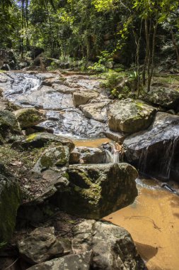 Küçük, dingin bir şelale, Brezilya 'da hareketli saf, saf güzelliği yakalayan, sürekli, nazik bir akış içinde parıldayan kayalar üzerinde çağlar..