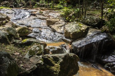 Küçük, dingin bir şelale, Brezilya 'da hareketli saf, saf güzelliği yakalayan, sürekli, nazik bir akış içinde parıldayan kayalar üzerinde çağlar..