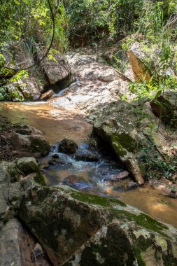 Küçük, dingin bir şelale, Brezilya 'da hareketli saf, saf güzelliği yakalayan, sürekli, nazik bir akış içinde parıldayan kayalar üzerinde çağlar..