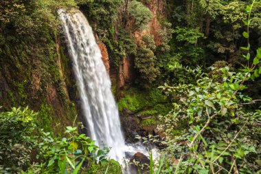 A powerful waterfall cascades down a rocky cliff, surrounded by the lush, vibrant green foliage of a dense tropical forest. A beautiful and wild natural scene of pure, flowing water in motion.