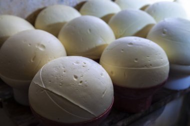 Artisanal round white cheese balls curing in rows. The dramatic side lighting highlights their texture, suggesting a traditional, handmade food production process in a dark cellar.