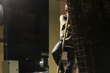 Marilia, SP, Brezilya. 26 Kasım 2025. Akşamın erken saatlerinde, bir işçi Marlia 'daki Belediye Binası' nda So Paulo Eyaleti 'nin içindeki bir ağaca dekoratif Noel ışıkları yerleştirir.