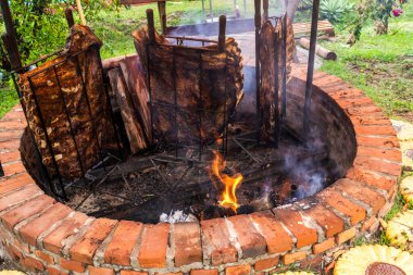 Brezilya 'da geleneksel sığır eti barbeküsü: ahşap yakıtlı açık ateşin üzerinde yavaş kavrulan kaburgalar, dumanlı, taze et ve kırsal kesim mirası sergiliyor..