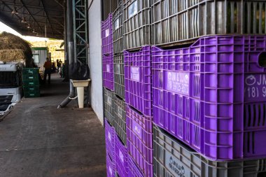 Marilia, Sao Paulo, Brezilya, 16 Ekim 2025. Ceagesp, Marilia 'daki toptan satış yapan bir gıda deposunda yığınla plastik sandık..