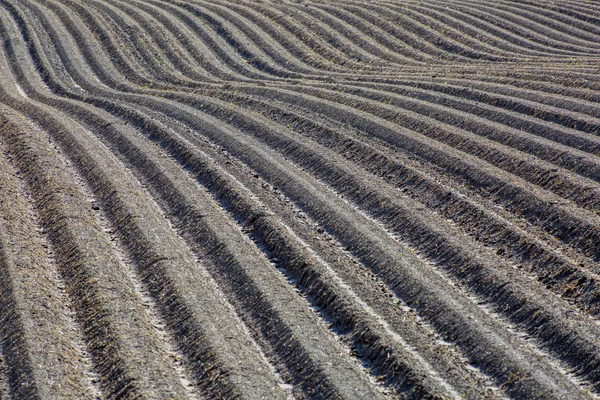 Campo marrone agricolo arato fresco — Foto Stock