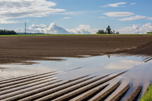 Campo marrone agricolo arato fresco — Foto Stock