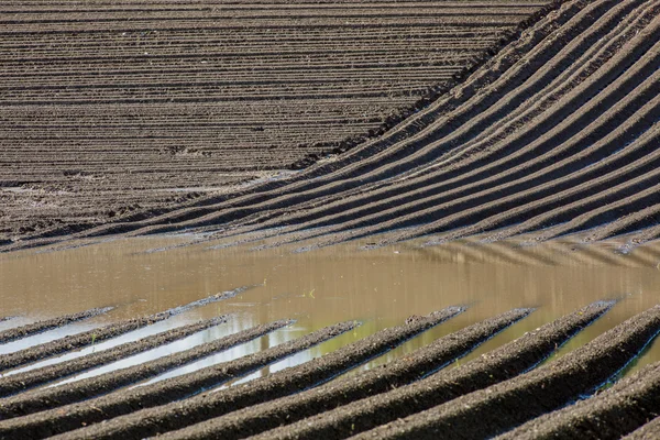 Campo marrone agricolo arato fresco — Foto Stock