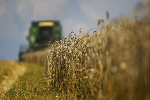 Working harvesting combine in the field of wheat with selective — Stock Photo, Image