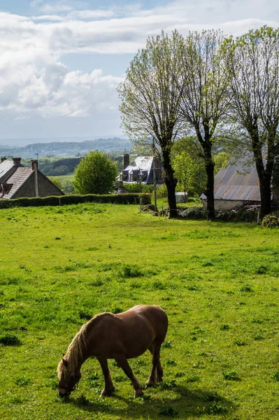 Saint Capnet de Salers in Cantal in France