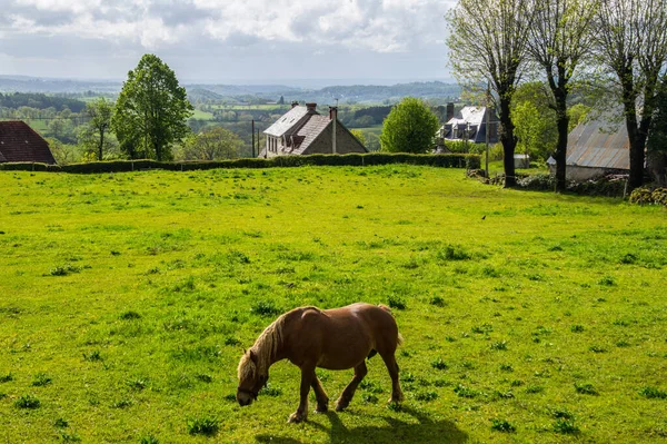 Santo Bonnet Salers Cantal França — Fotografia de Stock