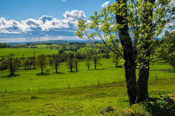 Santo Capó Salers Cantal Francia — Foto de Stock