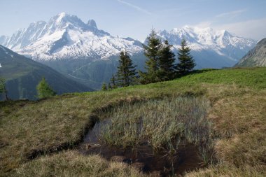 massif in mont blanc in posettes in chamonix in haute savoie in france
