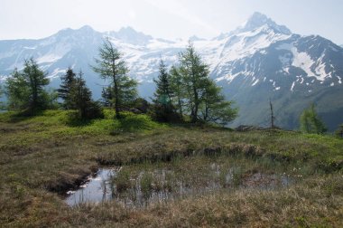 massif in mont blanc in posettes in chamonix in haute savoie in france