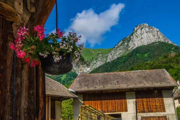 Compote Savoie France — Stok fotoğraf