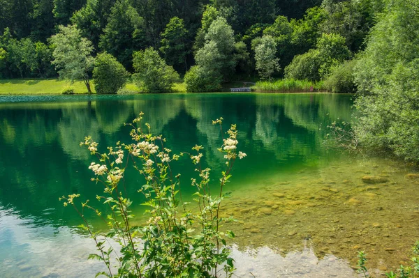 Lescheraines Savoie France — Stock Photo, Image